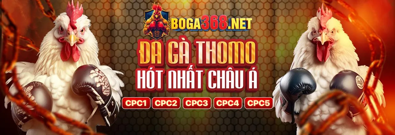 Tổng quan về đá gà trực tuyến tại KV888 Casino