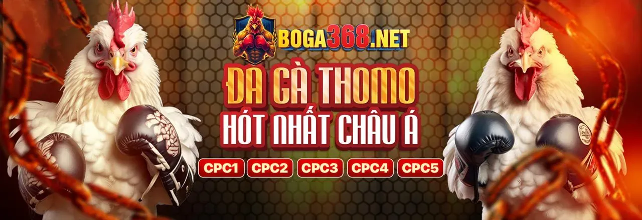 Tổng quan về đá gà trực tuyến tại KV888 Casino